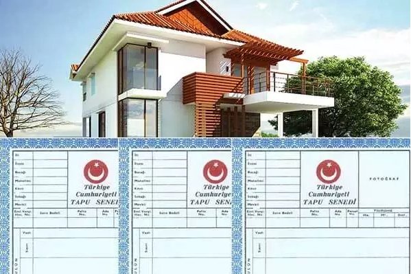 Cins Değişikliği Nedir ?